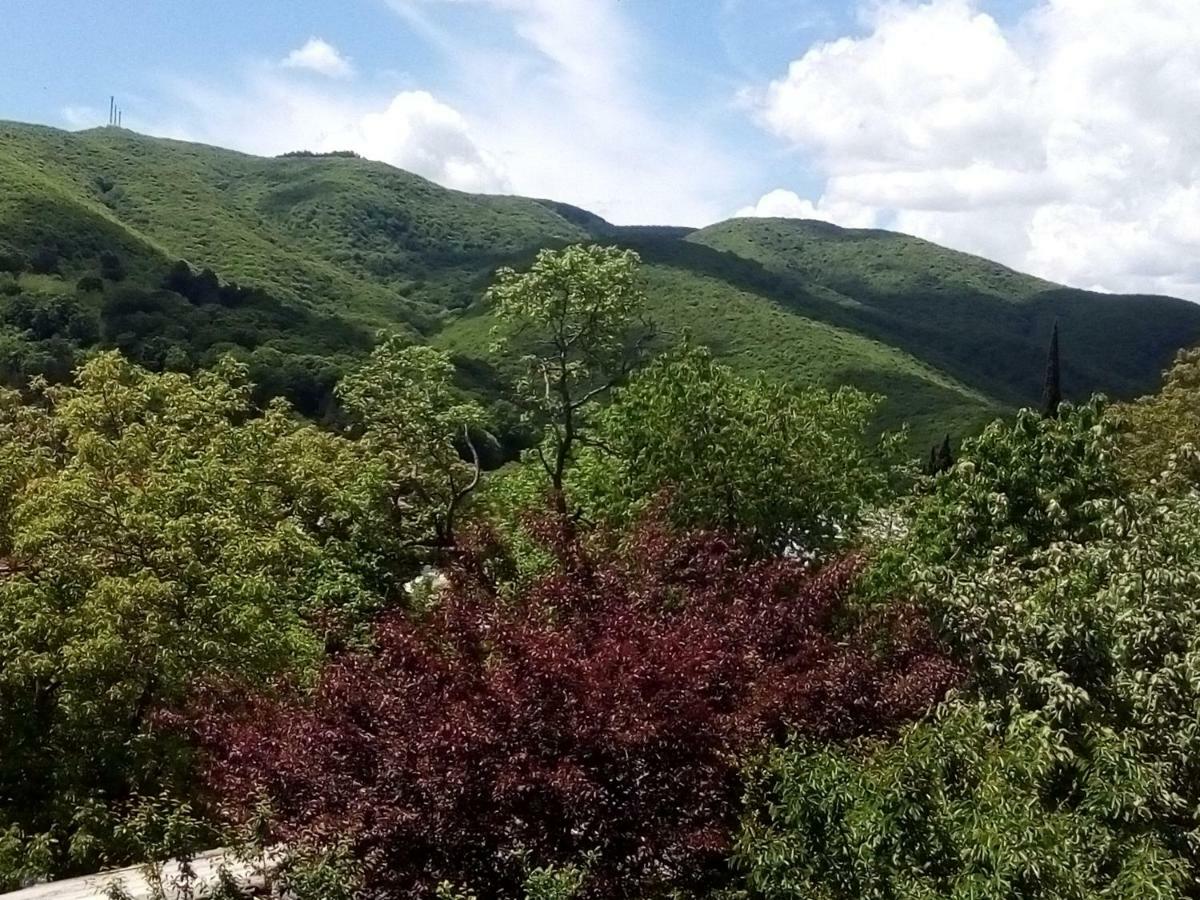 Best Host Sighnaghi Exterior photo